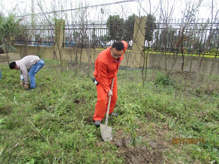 mg������Ե(�й�)�ٷ���վ