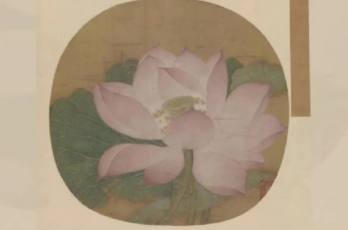 mg������Ե(�й�)�ٷ���վ