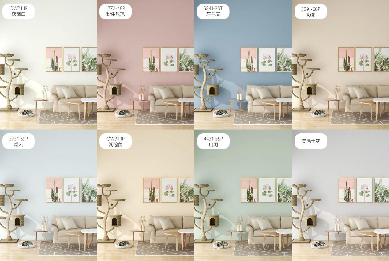 mg不朽情缘(中国)官方网站