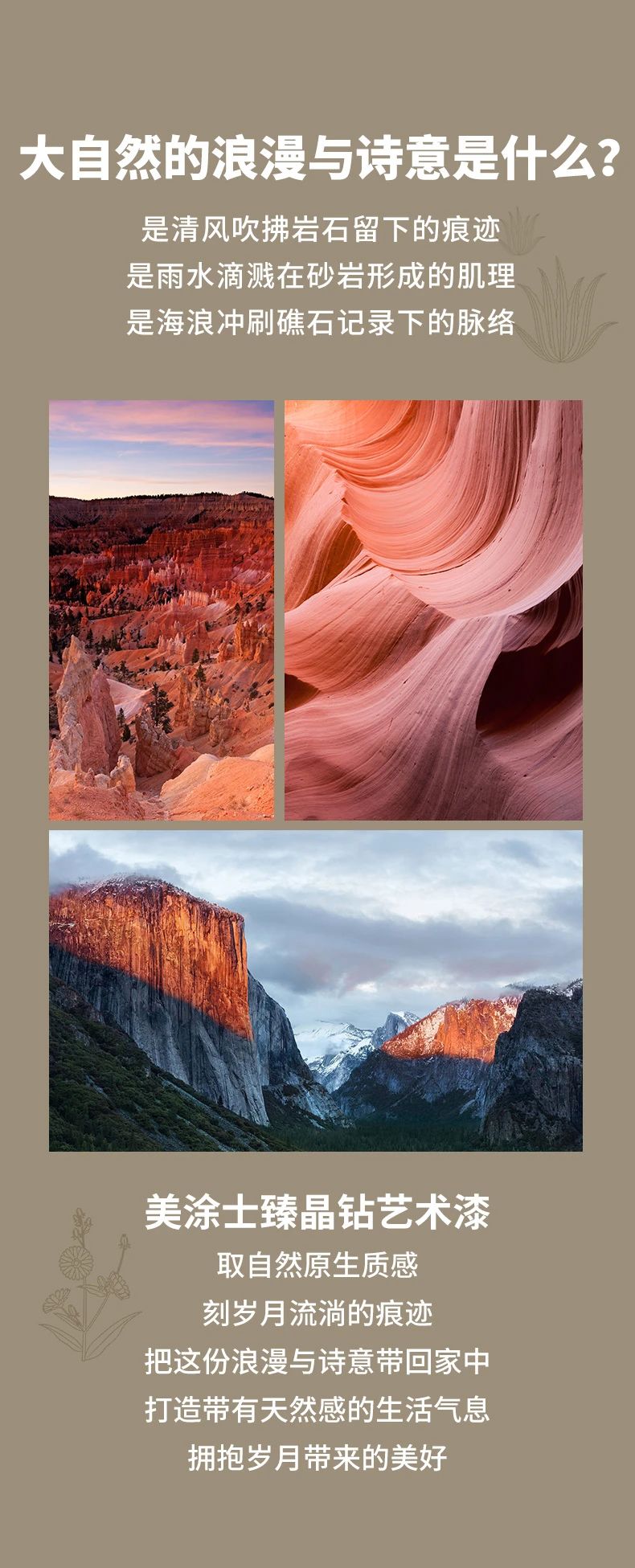 mg不朽情缘(中国)官方网站